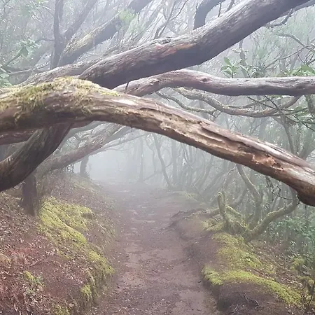 Guest house Casa Tortuga *