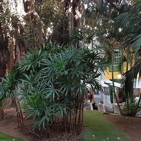 Casa Tortuga