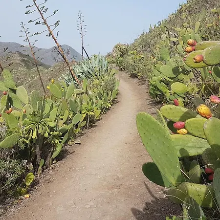 Guest house Casa Tortuga