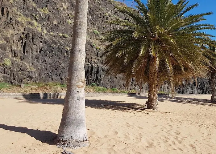 Gæstehus Casa Tortuga Santa Cruz de Tenerife