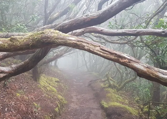 Gæstehus Casa Tortuga *