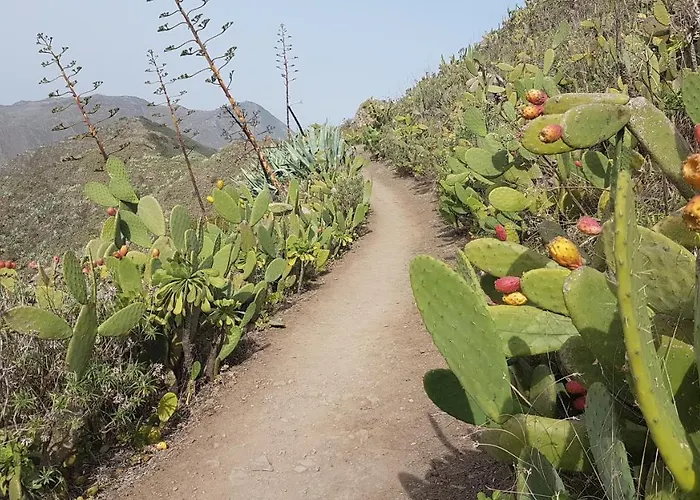 Affittacamere Casa Tortuga