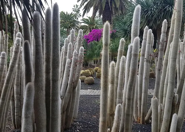 Vendégház Casa Tortuga Santa Cruz de Tenerife